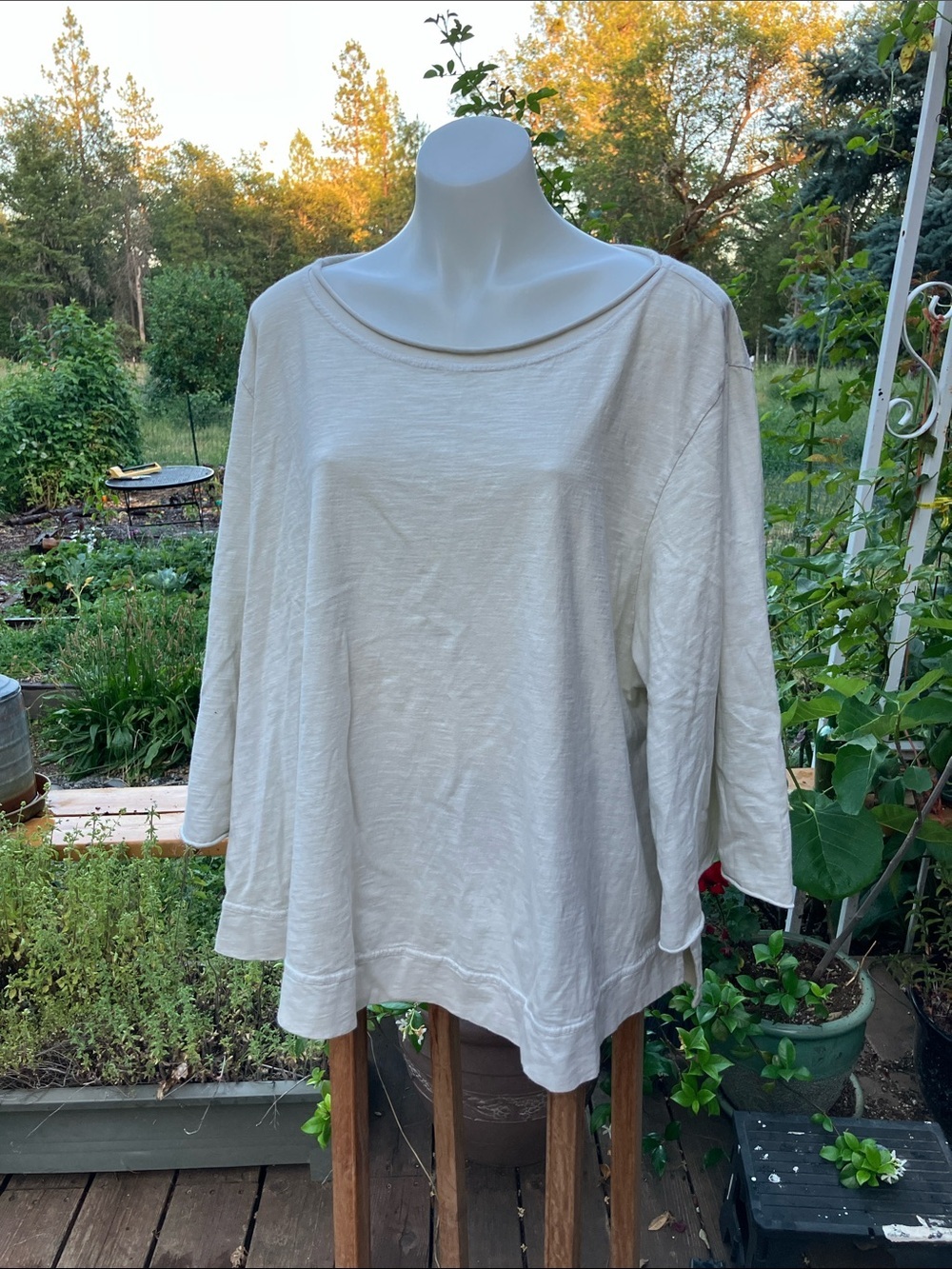 Kleen 3X 100% cotton Luce fit Bell sleeve top